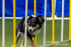 2023-June-AADTC-Trial-489