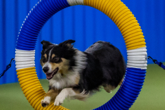 2023-June-AADTC-Trial-490