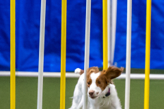 2023-June-AADTC-Trial-499