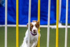 2023-June-AADTC-Trial-500