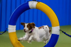 2023-June-AADTC-Trial-501