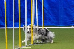 2023-June-AADTC-Trial-504