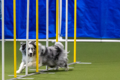 2023-June-AADTC-Trial-505