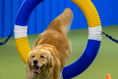 2023-June-AADTC-Trial-511