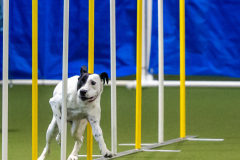 2023-June-AADTC-Trial-515