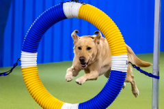 2023-June-AADTC-Trial-520