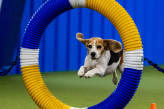 2023-June-AADTC-Trial-528