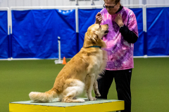 2023-June-AADTC-Trial-531