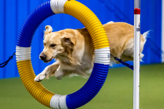 2023-June-AADTC-Trial-534