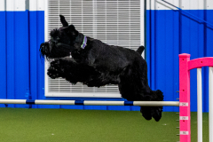 2023-June-AADTC-Trial-535