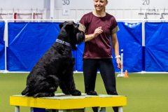 2023-June-AADTC-Trial-537