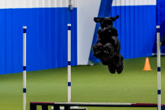 2023-June-AADTC-Trial-540