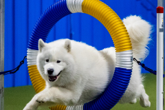 2023-June-AADTC-Trial-548