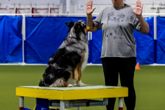 2023-June-AADTC-Trial-552