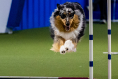 2023-June-AADTC-Trial-555