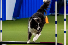 2023-June-AADTC-Trial-560