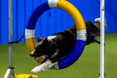 2023-June-AADTC-Trial-561