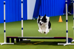 2023-June-AADTC-Trial-567