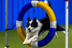 2023-June-AADTC-Trial-568