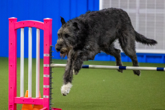 2023-June-AADTC-Trial-569