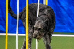 2023-June-AADTC-Trial-572