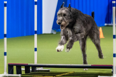 2023-June-AADTC-Trial-573