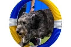 2023-June-AADTC-Trial-574