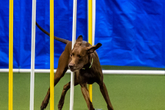 2023-June-AADTC-Trial-577