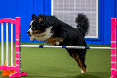 2023-June-AADTC-Trial-581