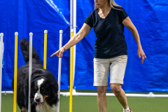 2023-June-AADTC-Trial-585