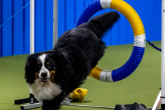 2023-June-AADTC-Trial-587