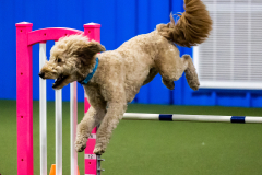 2023-June-AADTC-Trial-588