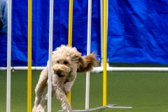 2023-June-AADTC-Trial-593