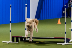 2023-June-AADTC-Trial-594