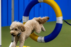 2023-June-AADTC-Trial-595