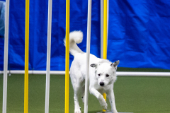 2023-June-AADTC-Trial-599