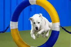 2023-June-AADTC-Trial-602