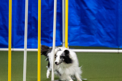 2023-June-AADTC-Trial-607