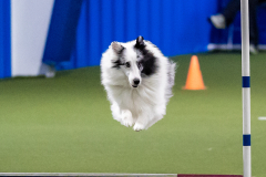 2023-June-AADTC-Trial-608