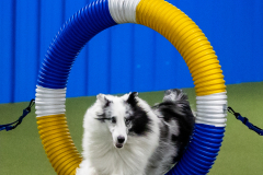 2023-June-AADTC-Trial-609