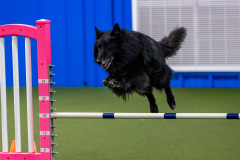 2023-June-AADTC-Trial-610