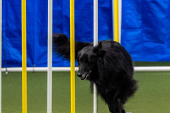 2023-June-AADTC-Trial-613