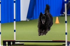 2023-June-AADTC-Trial-615