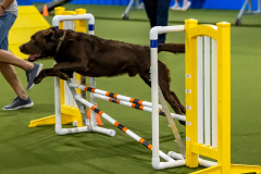 2023-June-AADTC-Trial-618