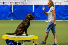 2023-June-AADTC-Trial-619