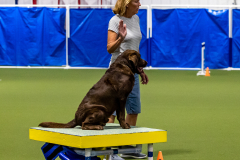 2023-June-AADTC-Trial-620