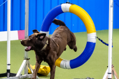 2023-June-AADTC-Trial-624