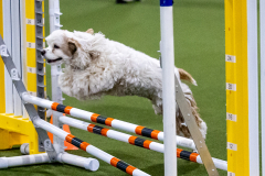 2023-June-AADTC-Trial-626