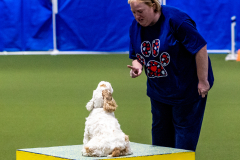 2023-June-AADTC-Trial-628