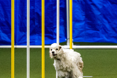 2023-June-AADTC-Trial-632